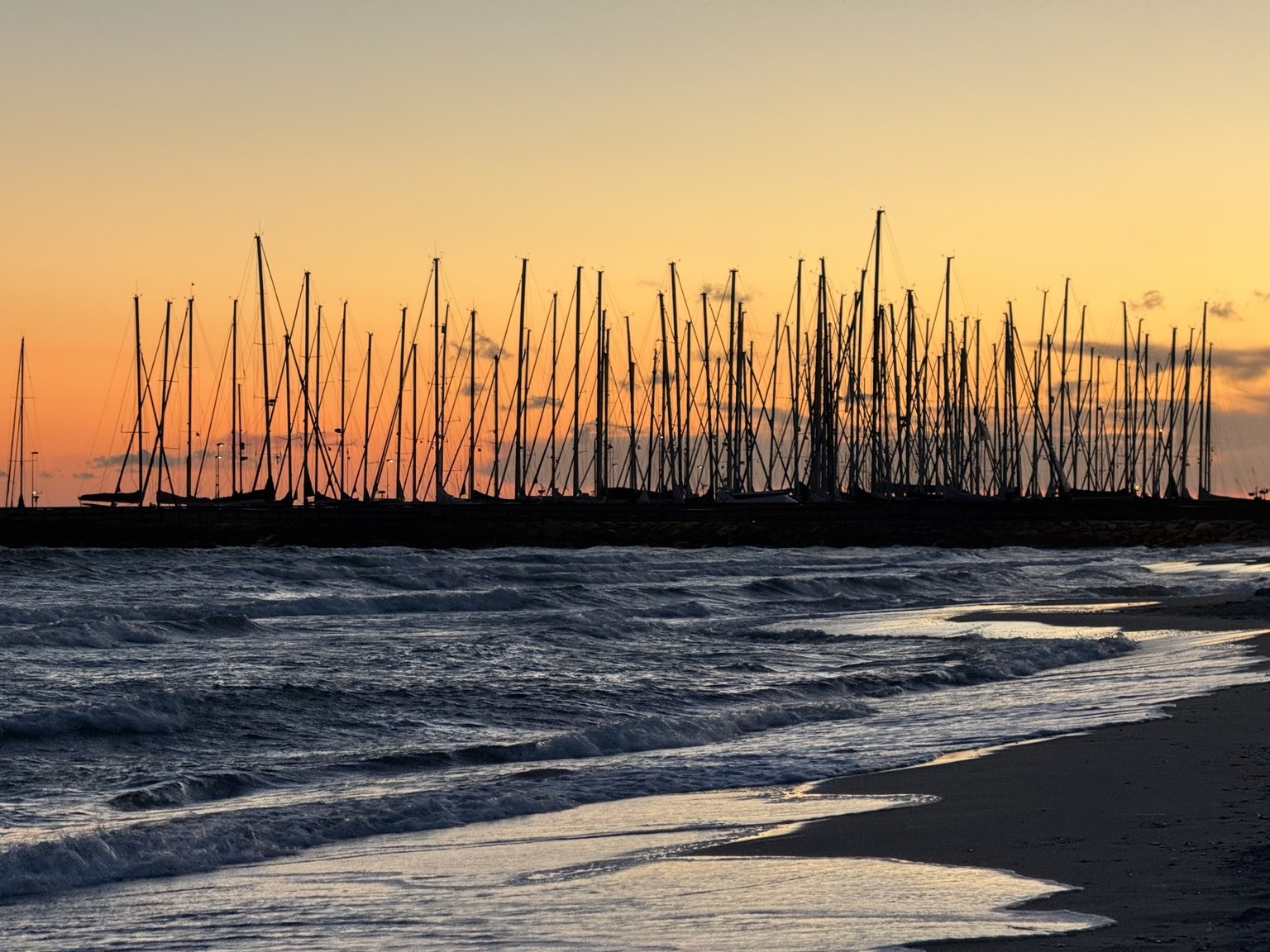 Sunset over the water and a forest of sailboat masts